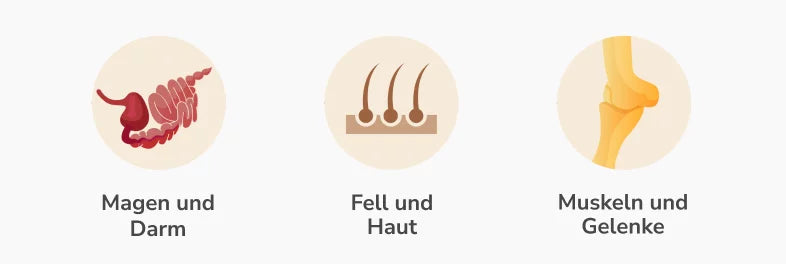 Auswahl nach Einsatzgebiet