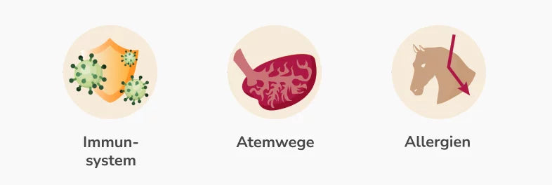 Auswahl nach Einsatzgebiet