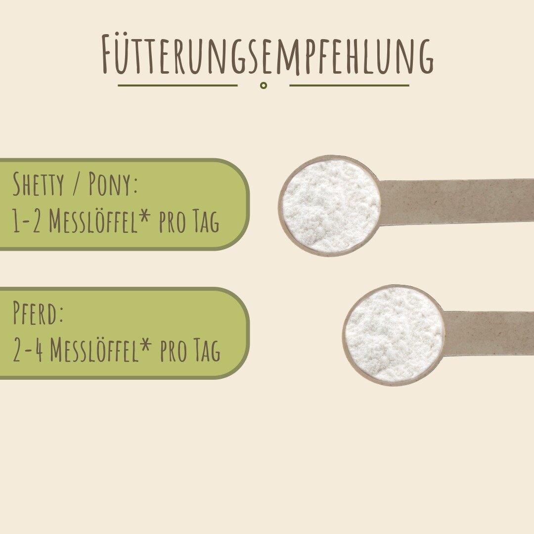 Reiter & Ross MSM Pulver für Pferde mit Dosierlöffel