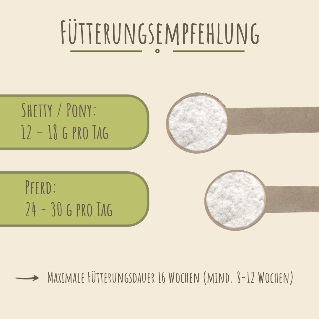 Reiter & Ross Zeolith Pulver für Pferde mit Dosierlöffel